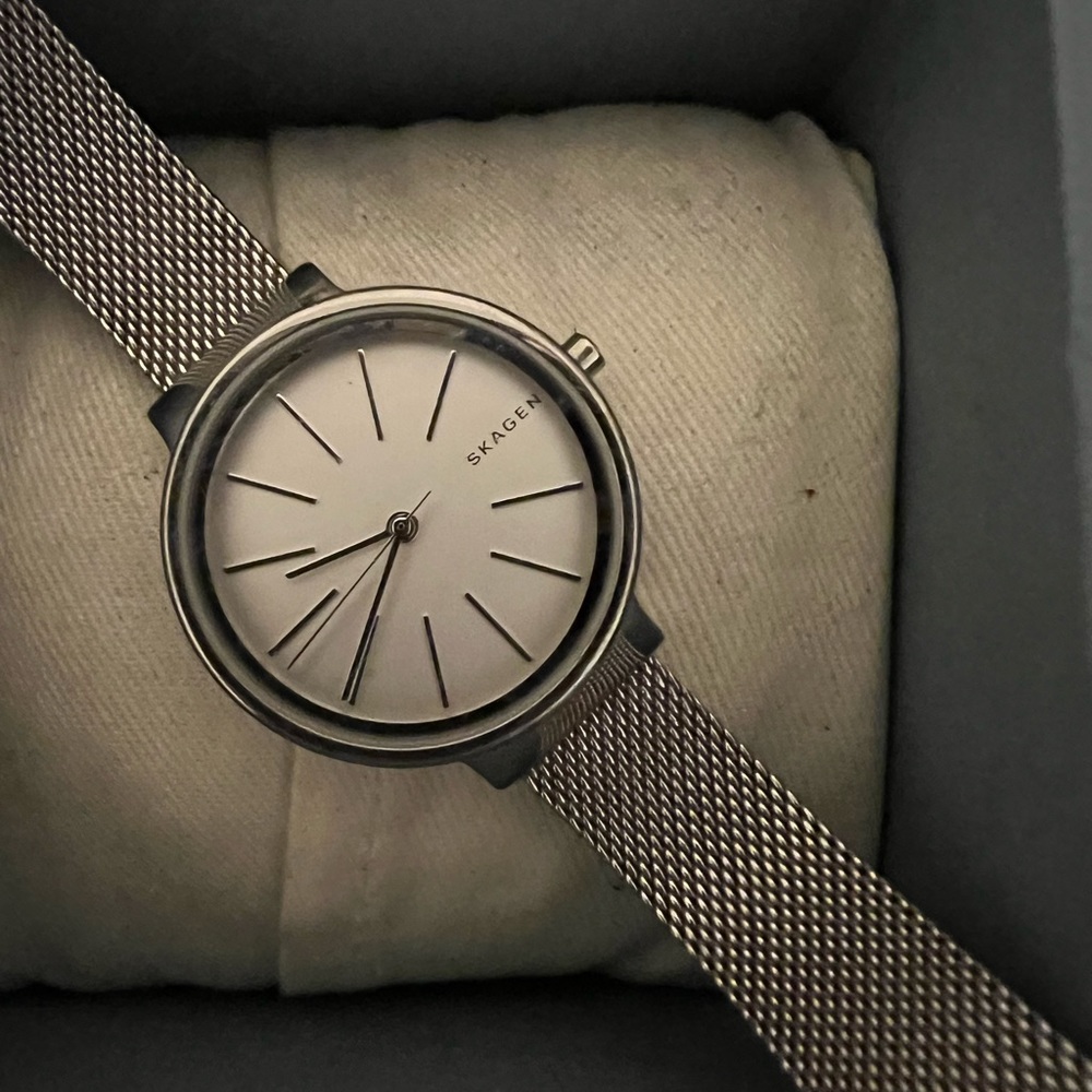 Skagen Watch